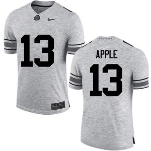 Men's Ohio State Buckeyes #13 Eli Apple Gray Nike NCAA College Football Jersey High Quality SIO2844FE